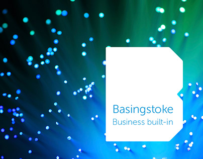 Basingstoke Council | Brand, Positioning, Creative