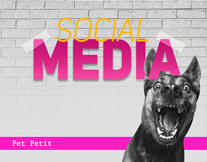 Social Media | PET PETIT