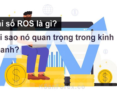 ROS là gì? Ý nghĩa chỉ số ROS mang đến cho doanh nghiệp