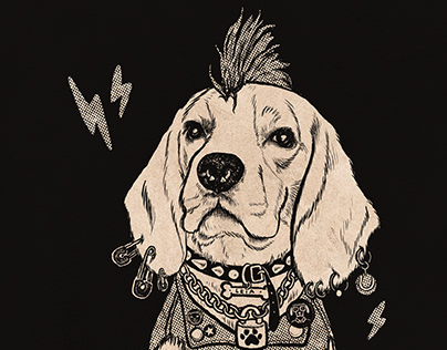 Leia the portuguese beagle t-shirt illustration