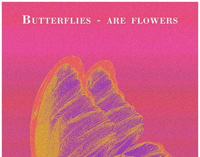 Бабочки — это цветы, которые сорвал ветер.