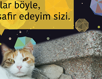 Düşle Beşiktaş & HAYTAP | Poster