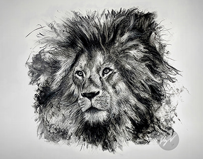 Charcoal Drawing of a Lion