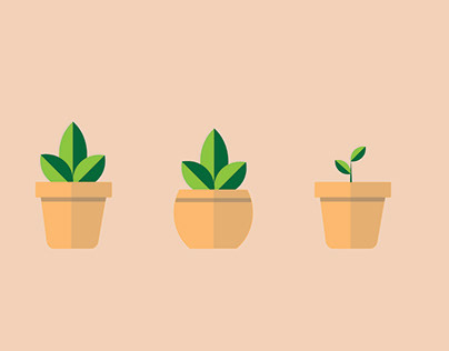 Flat Potted Plants