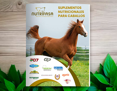 Diseño de catálogo PDF: Nutrifasa, Monterrey
