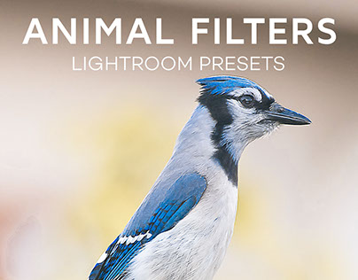 Free Animal Photography Lightroom & Camera Raw Presets