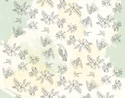 Plumeria flower Pattern. Textile design
