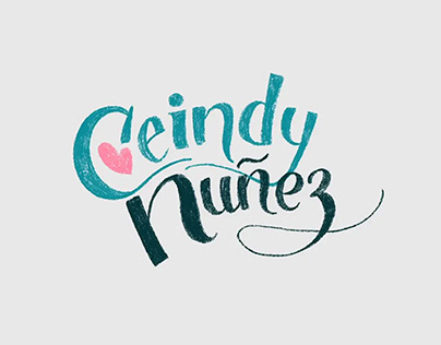 2019 Ceindy Nunez Motion Reel