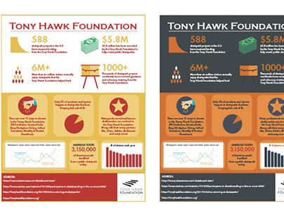 Tony Hawk Foundation Infographics