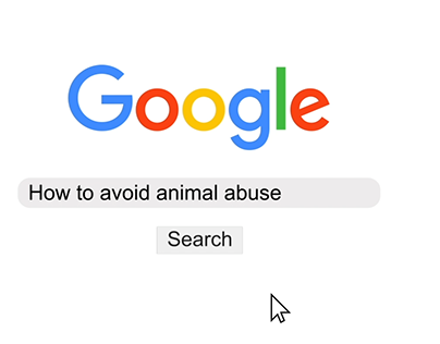 How to avoid animal abuse