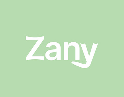Logo and Visual identity for Zany