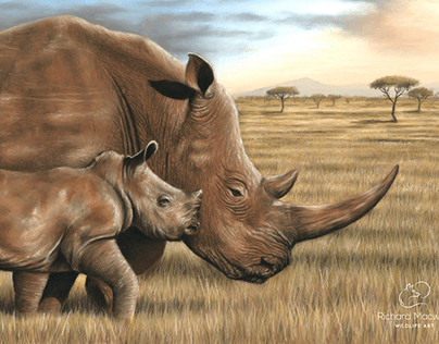 Portrait of a rhino and calf