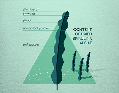 Flat Infographic Design / Spirulina Algae