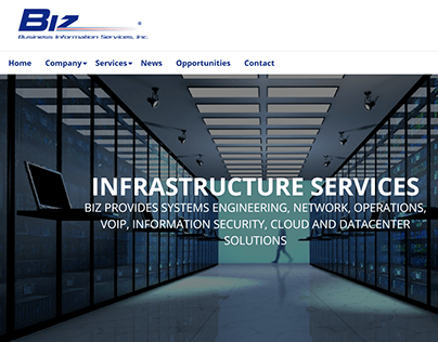 Business Information Services