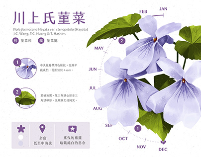 【illustration/infographic】臺灣特有種花Endemic flora of Taiwan