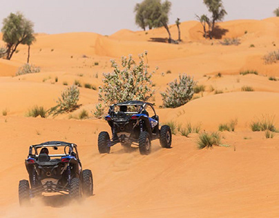 Dune Buggy Experience Dubai | Bigreddxb.com