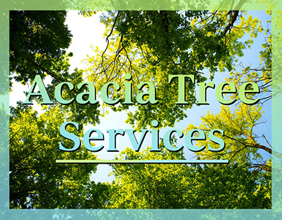 Acacia Tree Services WordPress Website