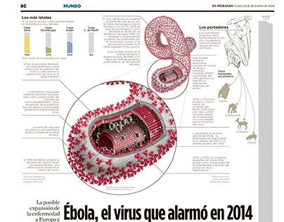 El virus del ébola en 2014