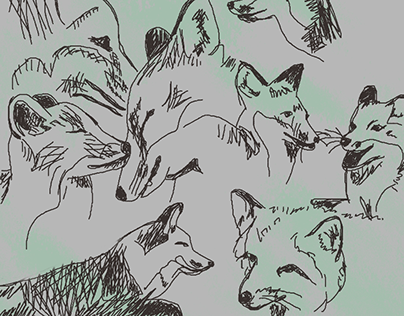 Foxy Sketches
