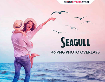 46 Seagull Photo Overlays