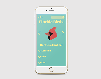 Birdnoculars App Design