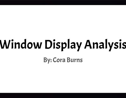 Window Display Analysis, Spring 2019