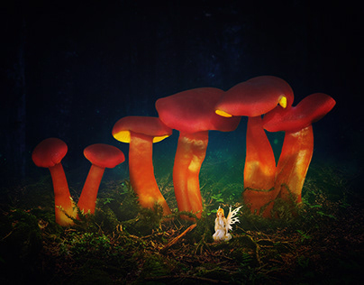 Last Magic Mushroom