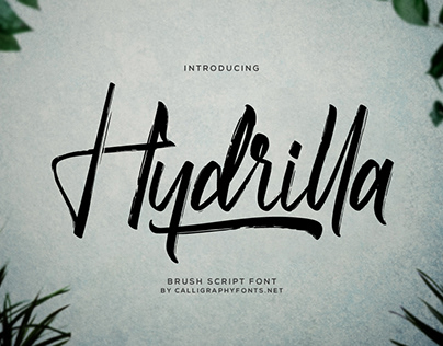 Hydrilla