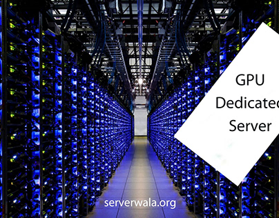 Dedicated GPU Server | GPU Dedicated Server