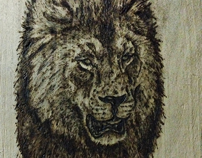 Lion pirography