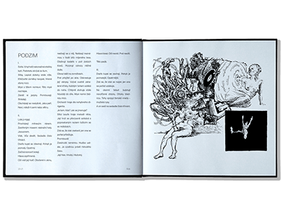 Illustration/Typography - book Rok (Year)