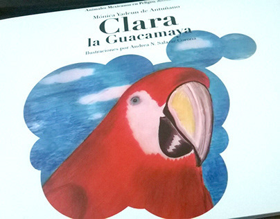 Ilustración de cuento infantil Clara la guacamaya