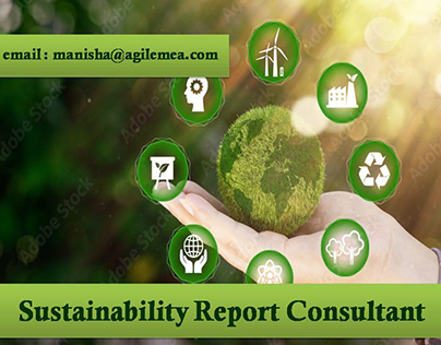 Sustainability Report Consultant