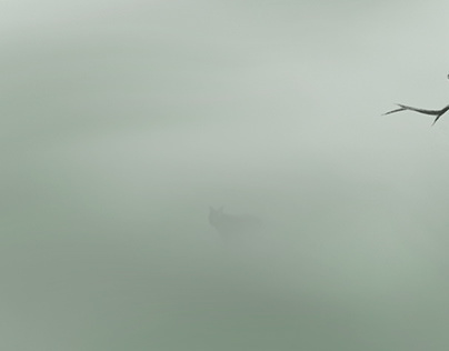 Meeting in the Fog