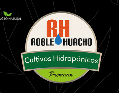 Roble Huacho