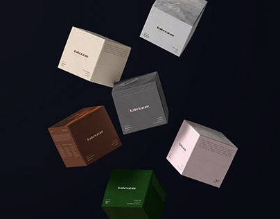 BLAZE — Branding & Packaging
