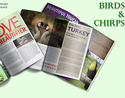 Magazine : Birds & Chirps