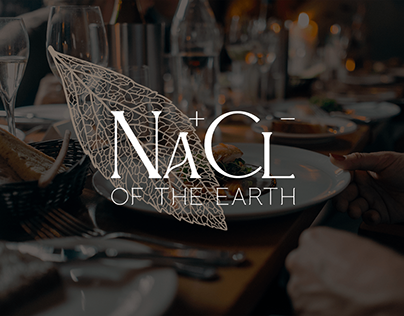 Menu Design:NaCl (Of The Earth)