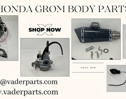 Honda Grom Body Parts
