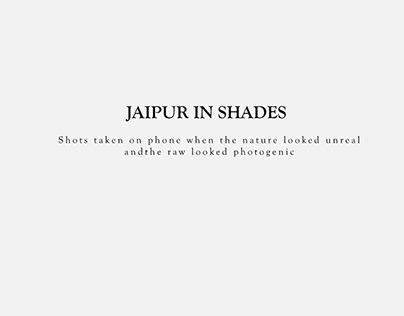 Jaipur in shades