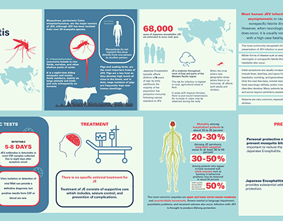 Japanese Encephalitis infographics