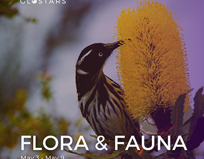 Flora & Fauna photo contest invitation by Glostars