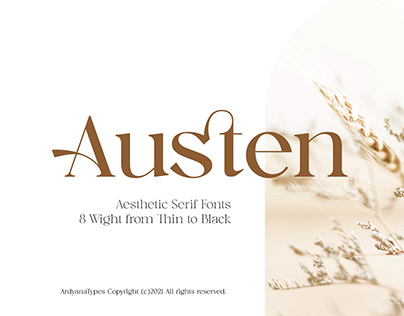 Austen Aesthetic Serif Font