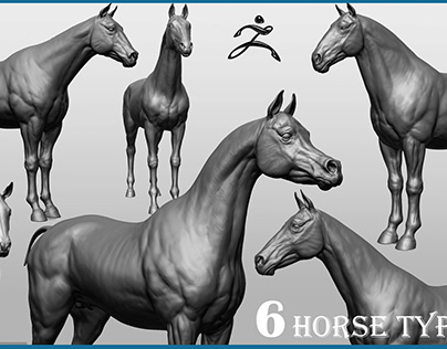 Horse Breeds Collection