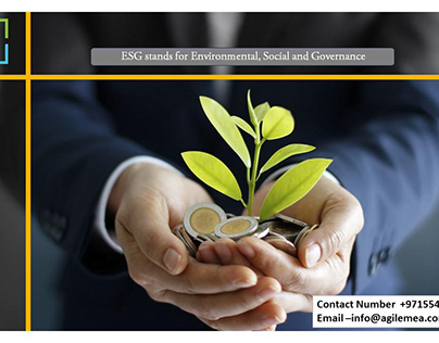 ESG stands for Environmental, Social and Governance