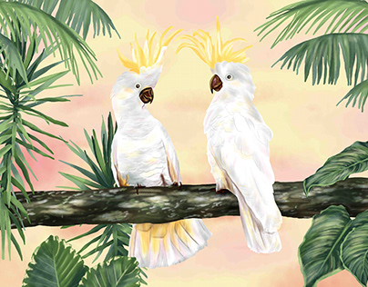 Tropical Cockatoos
