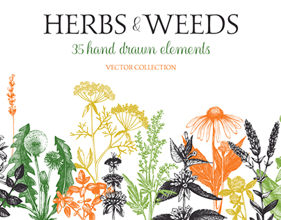 Herbs and Weeds Collection