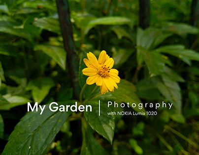 My Garden Photography