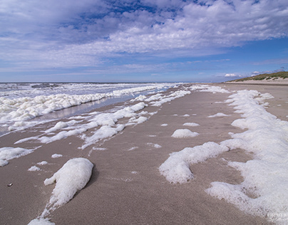 Foam flakes on the beach