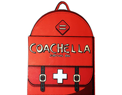 Survival Bag DVD Case- Coachella Music Festival VIPs
